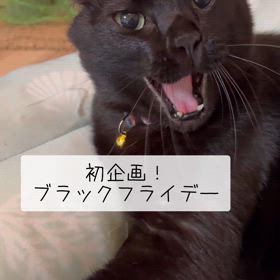 お知らせです！の画像
