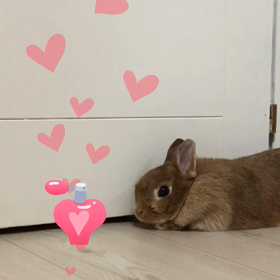 *:.｡. 初動画 .｡.:*の画像