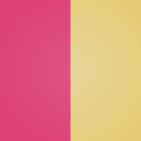 2020  pilates Lessonの画像