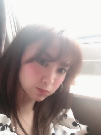 そのままの記事動画