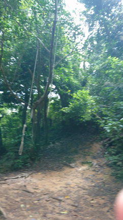 沖縄のジャングルを走ってきた②(本編はこちら)の記事動画
