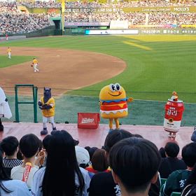 週末は野球の画像