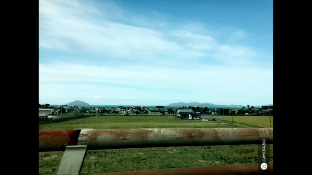 チャイルドシート♡の記事動画