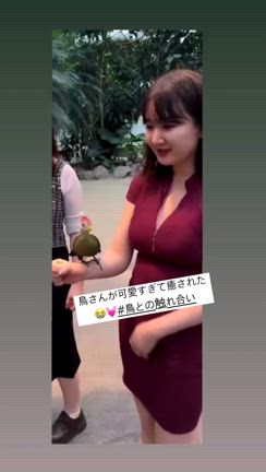 1025の記事動画