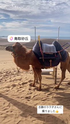1023の記事動画