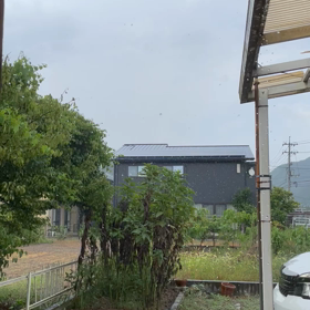 今日も通り雨の画像