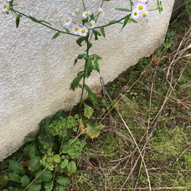 無題の画像