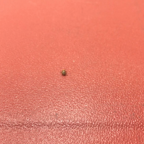 この、世界の片隅で…   ３の画像