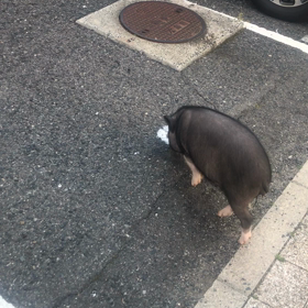ありがちな   光景の画像