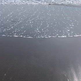 2025/02/17の画像