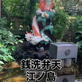 2025/06/30の画像