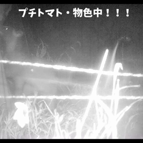 すぎぴたんの事件簿　第3話の画像