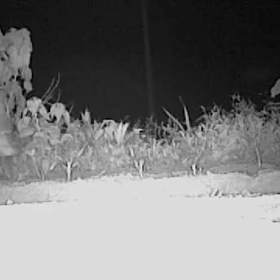 すぎぴたんの事件簿　6話の画像