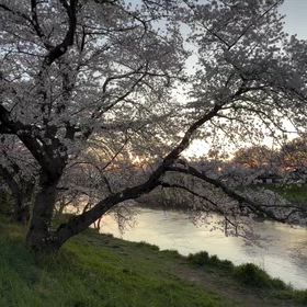 2026/05/22の画像