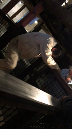 ついに完成❗️の記事動画