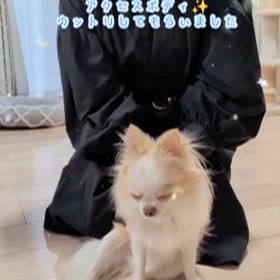 ワンコ&友人にヒーリング✨の画像