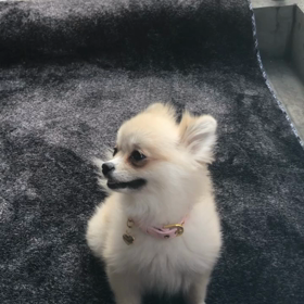 日向ぼっこ。の画像
