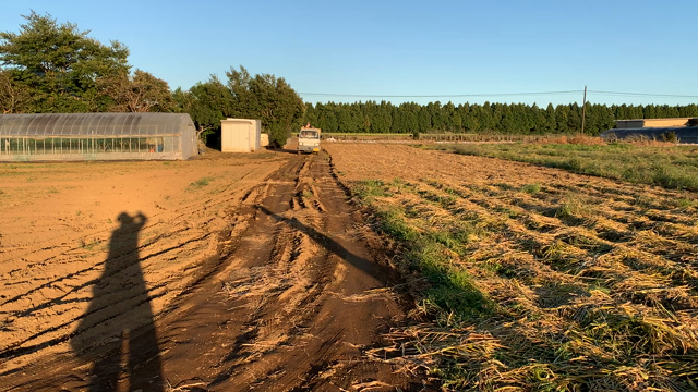 生姜農家収穫バイトはミッションコンプリート！そしてまさかまさかの展開が････の記事動画