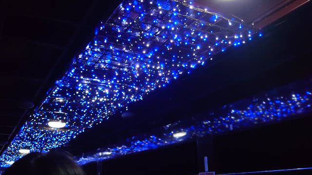 今年のお花見はちょっとチガウ、わたらせ渓谷鐵道のお花見の記事動画