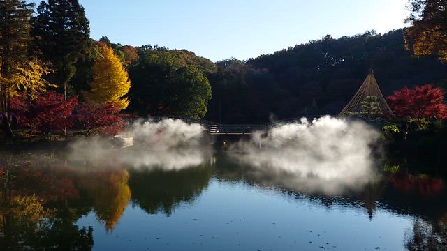昼間の薬師池公園の紅葉と夜の紅葉ライトアップの記事動画