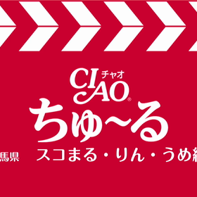 いなばちゅーるCMの画像