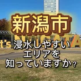 2024/11/23の画像