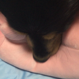 チュパる…の画像