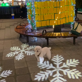 雪だぞーの画像