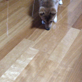 2015年10月22日の画像