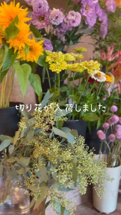 切り花が入荷しましたの記事動画