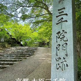 京都 大原三千院 風景リール動画の画像
