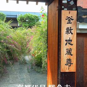 京都伏見 勝念寺(かましきさん)の風景リール動画の画像