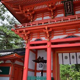 京都 今宮神社 茅の輪くぐりなどの風景の画像