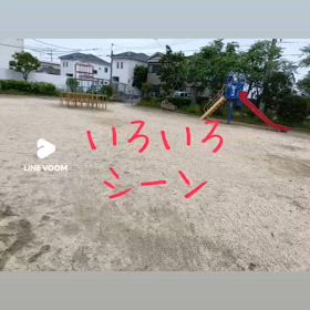 2025/05/22の画像