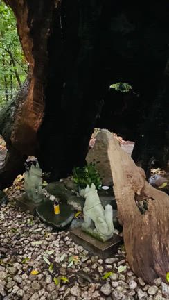 お稲荷さんの光と、お金と、豊かさについての記事動画