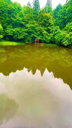 八大龍王弁財天大神（龗神神社）龍神様のエネルギーで池の色が変化する不思議の記事動画