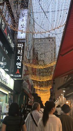 韓国旅行　その⑧。の記事動画