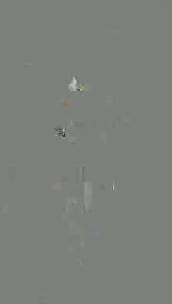 Shop＆space周年祭〜祥子社長誕生日お祝いの記事動画