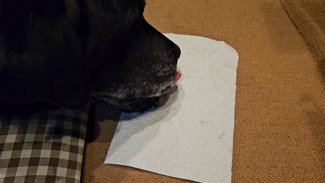 手術前の数日の記事動画