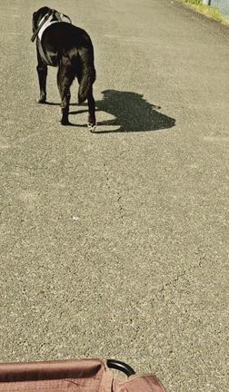 怒涛の1週間(亡くなるまでの1週間)の記事動画