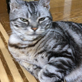 ゲリラ豪雨の画像