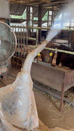 群馬の除菌消臭はスナガのジアリピュアにお任せ！の記事動画