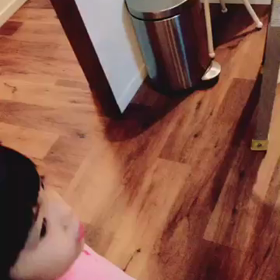 ラストの画像