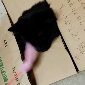 少しはの画像