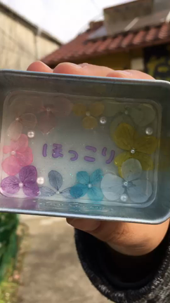 ほっこり動画の記事動画