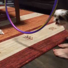 ネフもオリンピック気分♡の画像