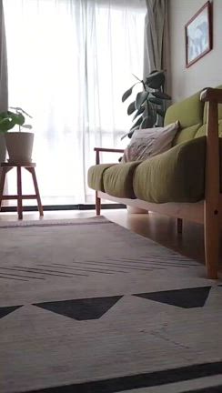Tomjenダイエットスリッパの記事動画