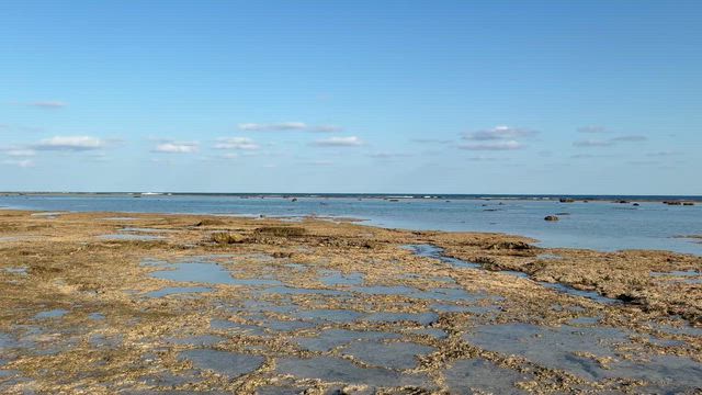 【銀河の学校☆沖縄卒業旅行】神の島久高島へ②✨の記事動画