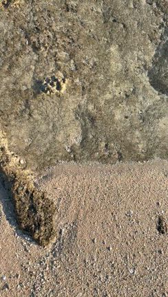 【銀河の学校☆沖縄卒業旅行】神の島久高島へ②✨の記事動画