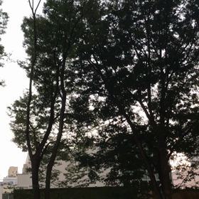 2018/07/25の画像